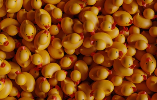 Chicago Ducky Derby Floats 100,000 Ducks for Special Olympics, Celebrating Inclusion and Athlete Achievements