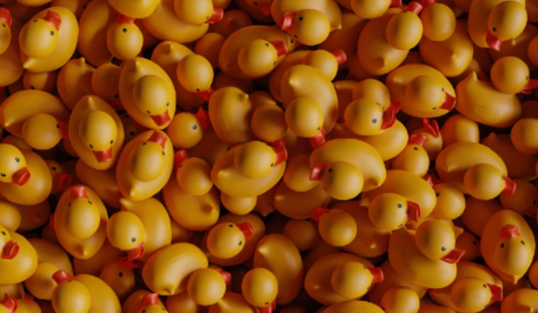 Chicago Ducky Derby Floats 100,000 Ducks for Special Olympics, Celebrating Inclusion and Athlete Achievements