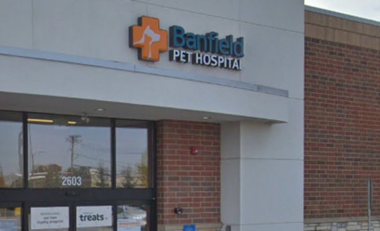 Chicago Pet Owner's Dog Unintentionally Spayed at Banfield Hospital Amid Spay/Neuter Ordinance Debate