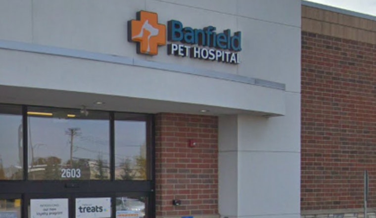 Chicago Pet Owner's Dog Unintentionally Spayed at Banfield Hospital Amid Spay/Neuter Ordinance Debate