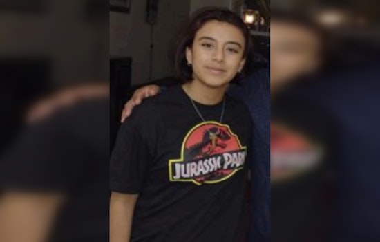 Chicago Police Issue Urgent Appeal for Information on Missing 20-Year-Old Lisseth Barreto