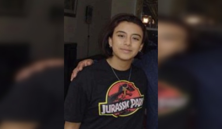 Chicago Police Issue Urgent Appeal for Information on Missing 20-Year-Old Lisseth Barreto