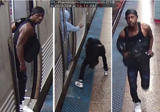 Chicago Police Seek Public's Aid in Hunting Suspect in Late-Night CTA Purse-Snatching Incident