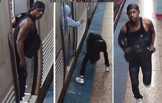 Chicago Police Seek Public's Aid in Hunting Suspect in Late-Night CTA Purse-Snatching Incident