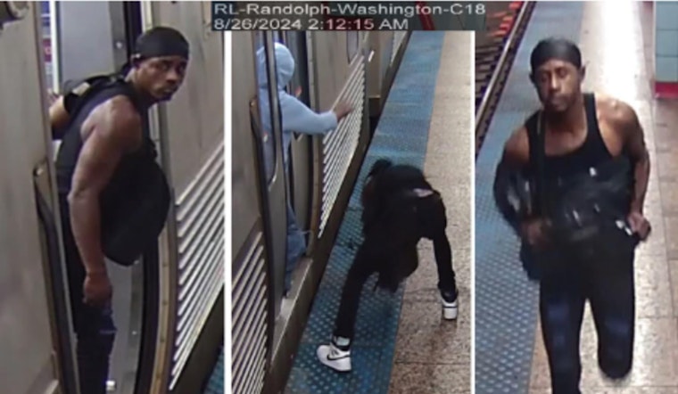 Chicago Police Seek Public's Aid in Hunting Suspect in Late-Night CTA Purse-Snatching Incident