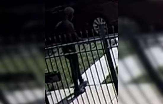 Chicago Police Seek Public's Aid in Identifying Suspect in Postal Worker's Homicide on South Harvard Ave