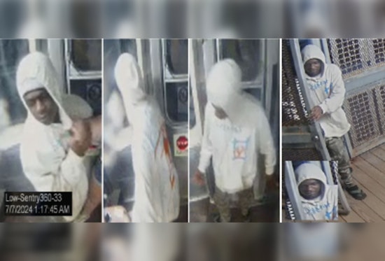 Chicago Police Seek Public's Help Identifying Suspect in Brown Line CTA Train Incident