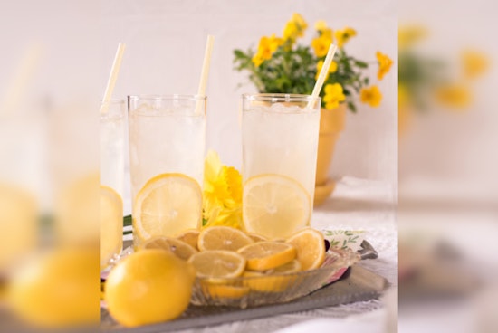 Chicago Sisters Transform Lemonade Stand into Courtside Dream with Philanthropist's Aid