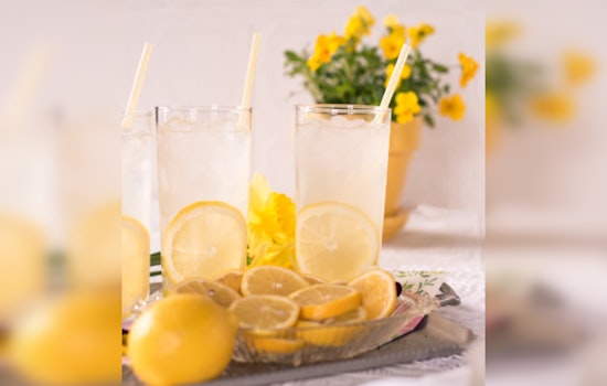 Chicago Sisters Transform Lemonade Stand into Courtside Dream with Philanthropist's Aid