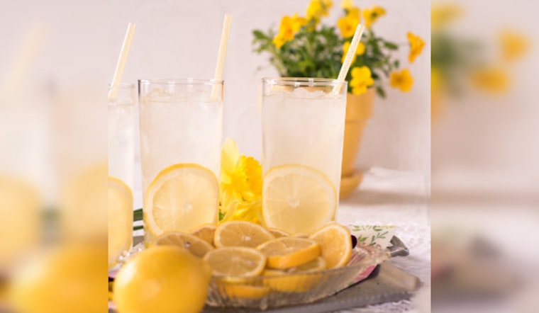 Chicago Sisters Transform Lemonade Stand into Courtside Dream with Philanthropist's Aid