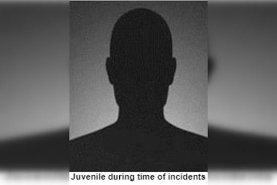 Chicago Teen Charged with Two Counts of Aggravated Vehicular Hijacking