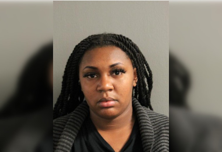 Chicago Woman Charged with Felony Theft and Running A Financial Crimes Enterprise