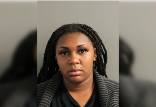 Chicago Woman Charged with Felony Theft and Running A Financial Crimes Enterprise