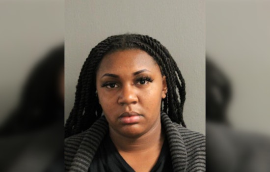 Chicago Woman Charged with Felony Theft and Running A Financial Crimes Enterprise