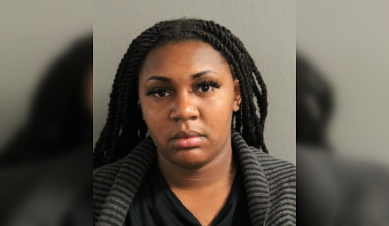 Chicago Woman Charged with Felony Theft and Running A Financial Crimes Enterprise