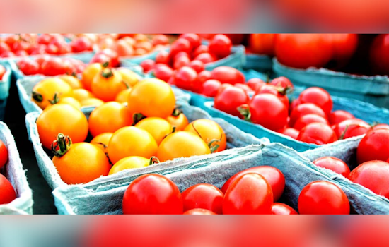 CitiParks Farmers Markets Celebrating 25 Years of National Farmers Market Week in Pittsburgh