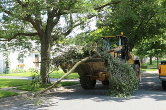 City Crews Mobilize for Cleanup After Storm Sweeps Through, Residents Advised on Debris Disposal