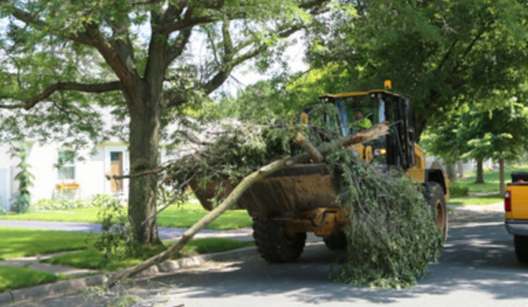 City Crews Mobilize for Cleanup After Storm Sweeps Through, Residents Advised on Debris Disposal
