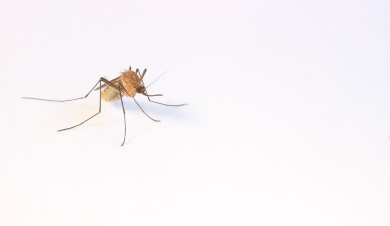 Clark County Faces Increased West Nile Virus Cases with First Death in Two Decades in Bay Area