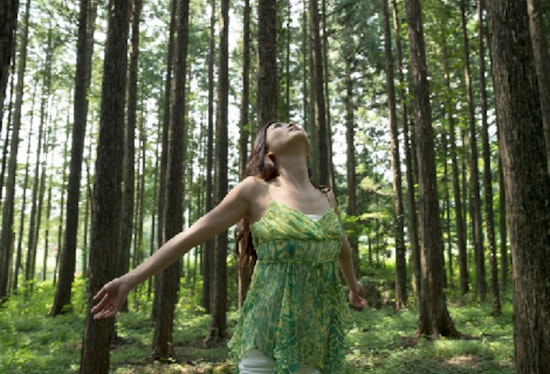 Cleary Lake Regional Park Invites Adults to Unplug with Therapeutic 'Forest Bathing' Session on August 17