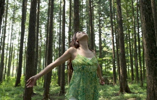 Cleary Lake Regional Park Invites Adults to Unplug with Therapeutic 'Forest Bathing' Session on August 17