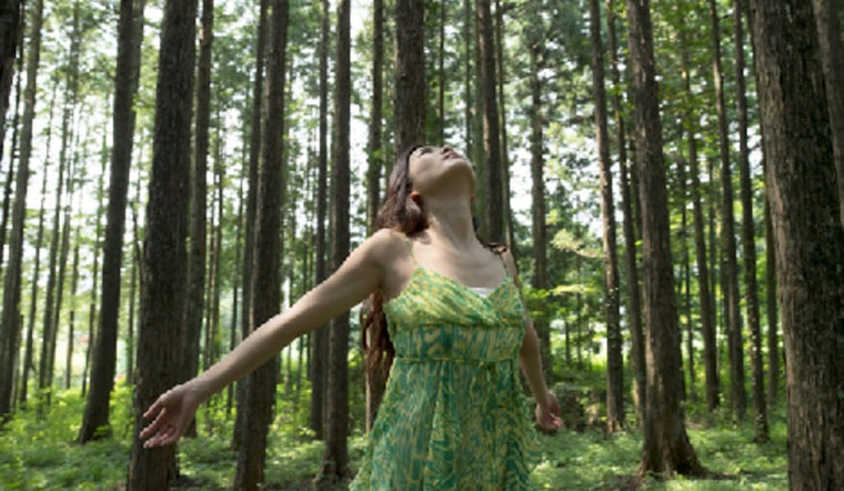 Cleary Lake Regional Park Invites Adults to Unplug with Therapeutic 'Forest Bathing' Session on August 17