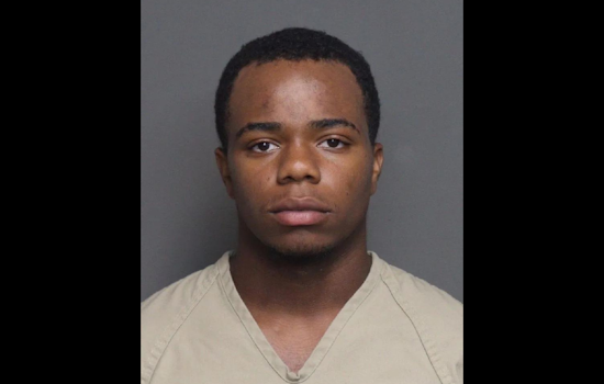 Columbus Carjacking Culprit Indicted, Teen Slapped with Involuntary Manslaughter for Mother's Death