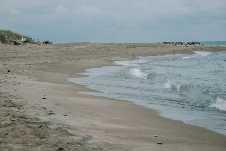 Concerns Rise Over Fecal Bacteria and Vibrio Risks Along Texas Coast