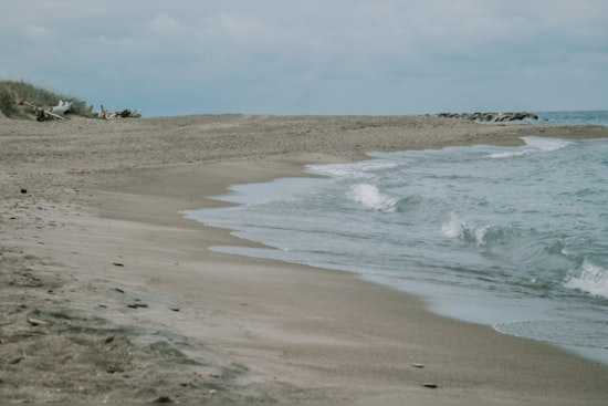 Concerns Rise Over Fecal Bacteria and Vibrio Risks Along Texas Coast