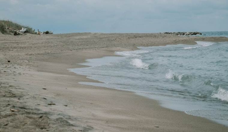 Concerns Rise Over Fecal Bacteria and Vibrio Risks Along Texas Coast