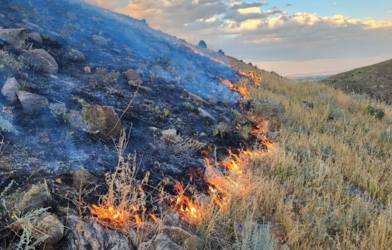 Containment of Goltra Fire Near Golden Hits 60% as Crews Battle Challenging Terrain and Wildlife