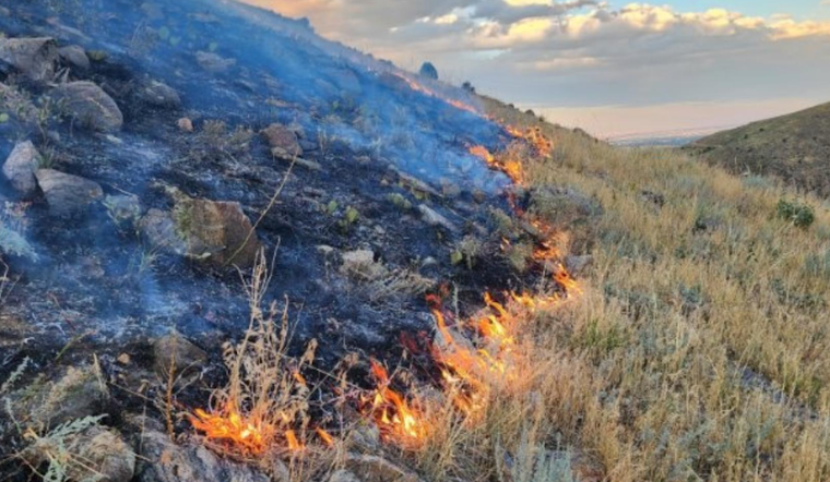 Containment of Goltra Fire Near Golden Hits 60% as Crews Battle Challenging Terrain and Wildlife