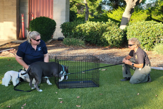 County Animal Services Champions Pet Emergency Preparedness Ahead of Wildfire Season