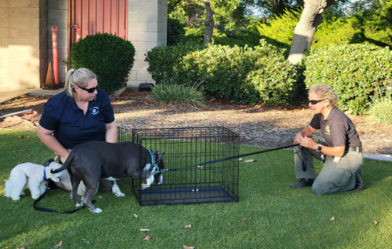 County Animal Services Champions Pet Emergency Preparedness Ahead of Wildfire Season
