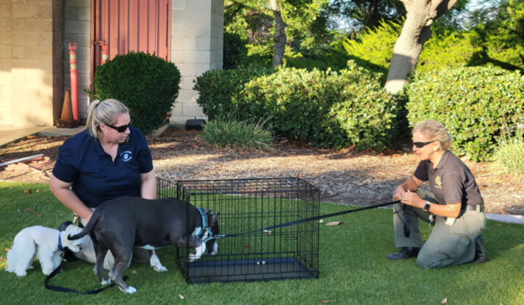 County Animal Services Champions Pet Emergency Preparedness Ahead of Wildfire Season