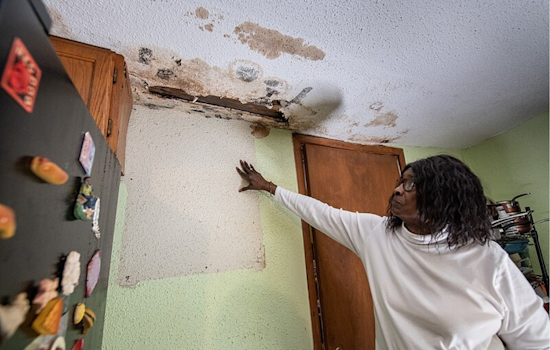 Dallas Residents Miss Out on Home Repair Skills as HIPP Workshop Faces Technical Issues