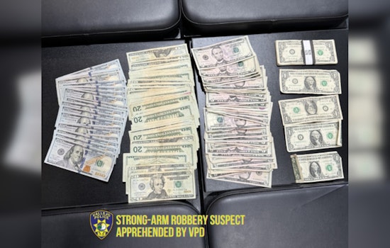 Daring Daylight Robbery in Vallejo Thwarted by GPS Tracking Mishap, Suspect Back in Custody