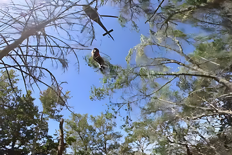 VIDEO: Daring Rescue in Sonoma Mountain Regional Park: CHP Air Unit and Firefighters Save Injured Hiker