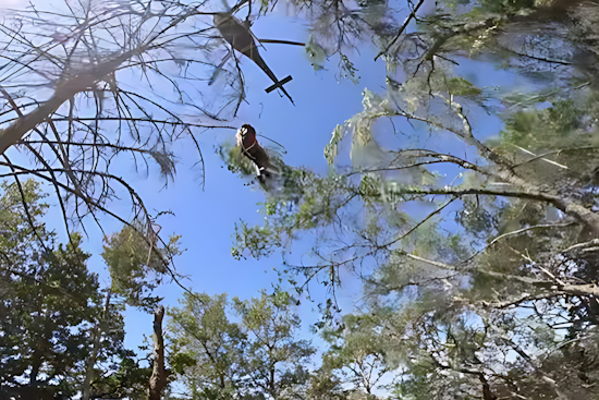VIDEO: Daring Rescue in Sonoma Mountain Regional Park: CHP Air Unit and Firefighters Save Injured Hiker