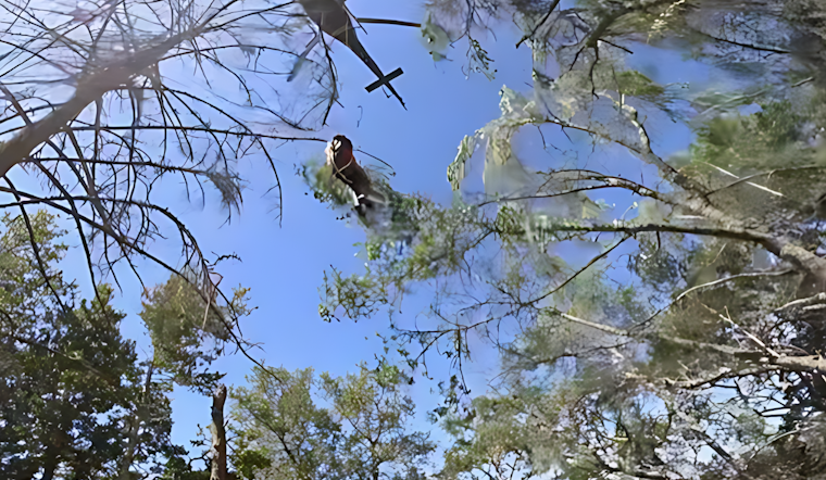 VIDEO: Daring Rescue in Sonoma Mountain Regional Park: CHP Air Unit and Firefighters Save Injured Hiker