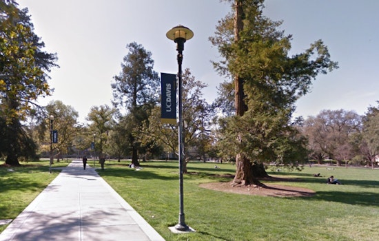 Davis Man Arrested on Suspicion of Attempted Kidnapping and Assault at UC Davis Arboretum