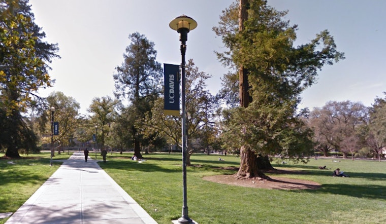 Davis Man Arrested on Suspicion of Attempted Kidnapping and Assault at UC Davis Arboretum
