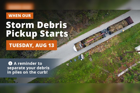 Debris Collection Begins in Manatee County After Storm Debby, with Guidelines Issued for Residents