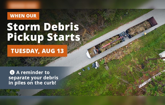 Debris Collection Begins in Manatee County After Storm Debby, with Guidelines Issued for Residents