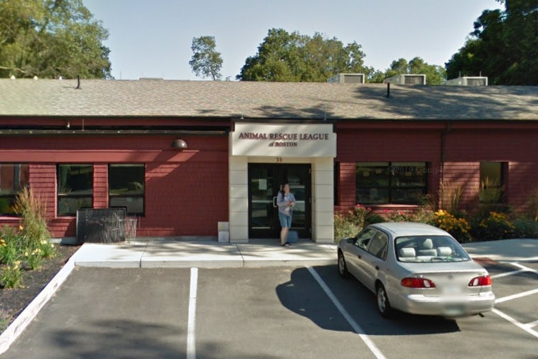 Dedham Owner Cited for Leaving Huskies Tied to Car in Hot Parking Lot Amid Towering Temperatures