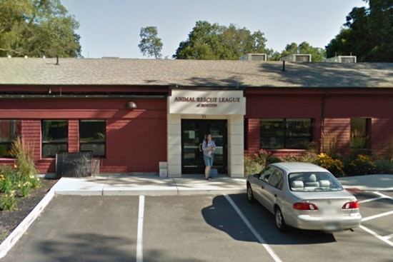 Dedham Owner Cited for Leaving Huskies Tied to Car in Hot Parking Lot Amid Towering Temperatures