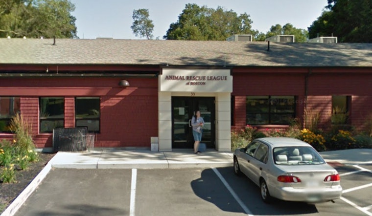Dedham Owner Cited for Leaving Huskies Tied to Car in Hot Parking Lot Amid Towering Temperatures
