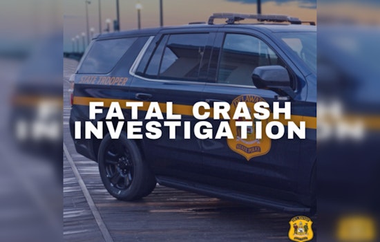 Delaware State Police Seek Witnesses Following Fatal Bicycle Crash Claiming 3-Year-Old in Seaford