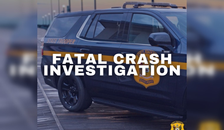 Delaware State Police Seek Witnesses Following Fatal Bicycle Crash Claiming 3-Year-Old in Seaford