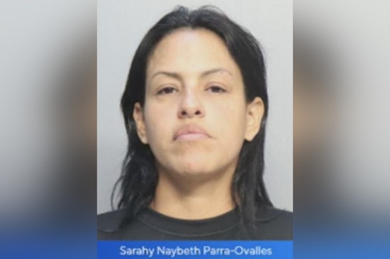 Delivery Driver Arrested for Miami-Dade Hit-and-Run Injuring Mother and Infant